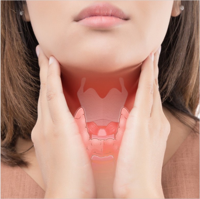 Щитовидка — наше гормональное здоровье