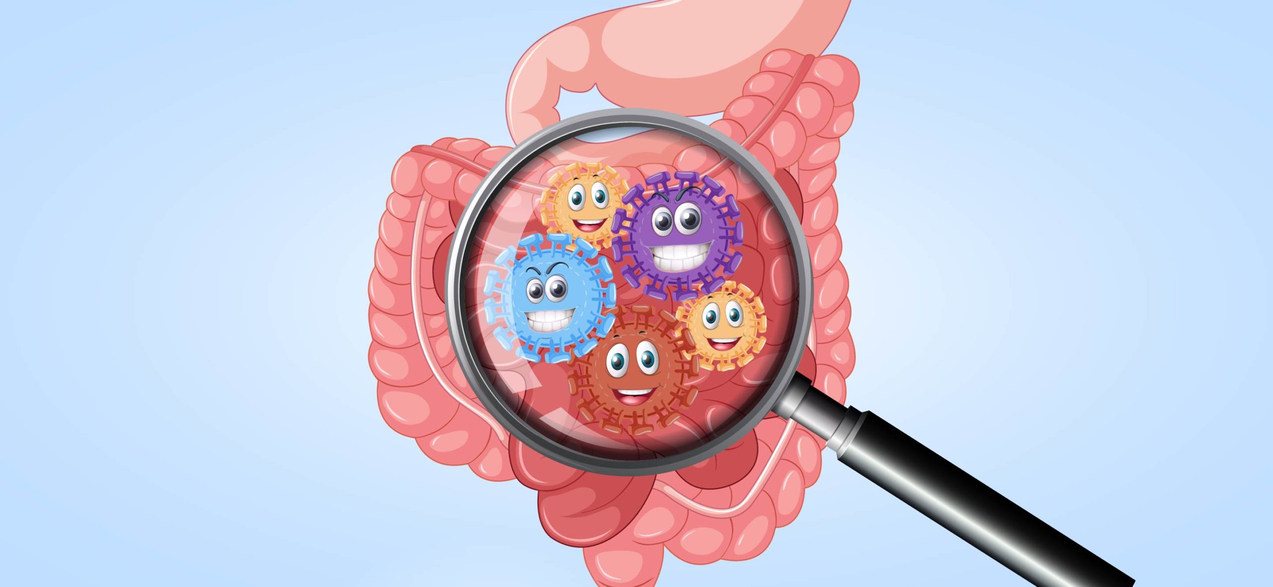 Микробиота: кто обитает в кишечнике?